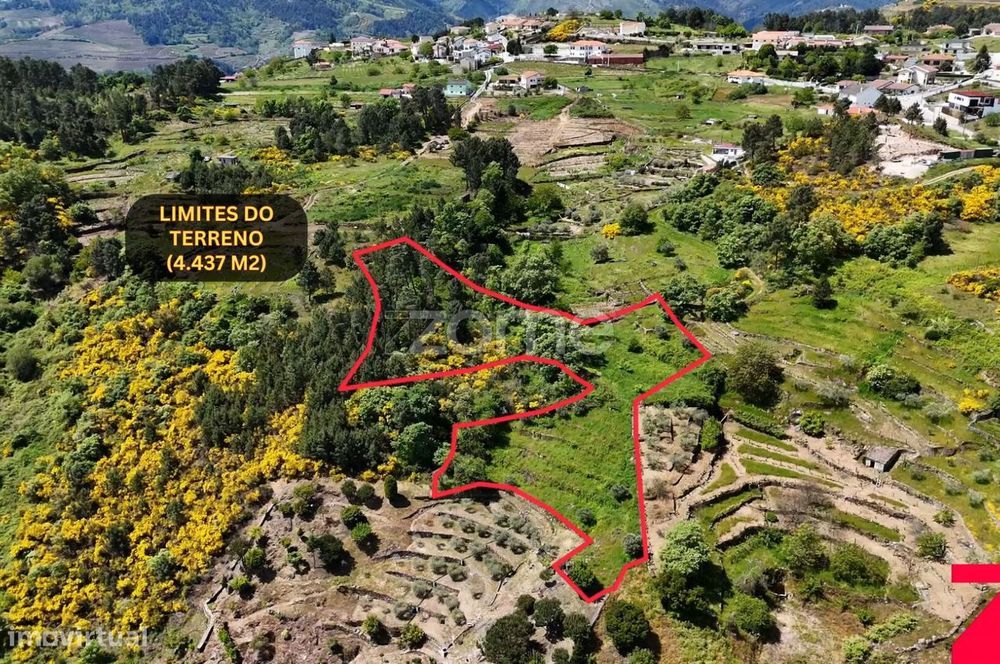 Terreno de 4437m2 com ruína, Santa Marta de Penaguião, Douro