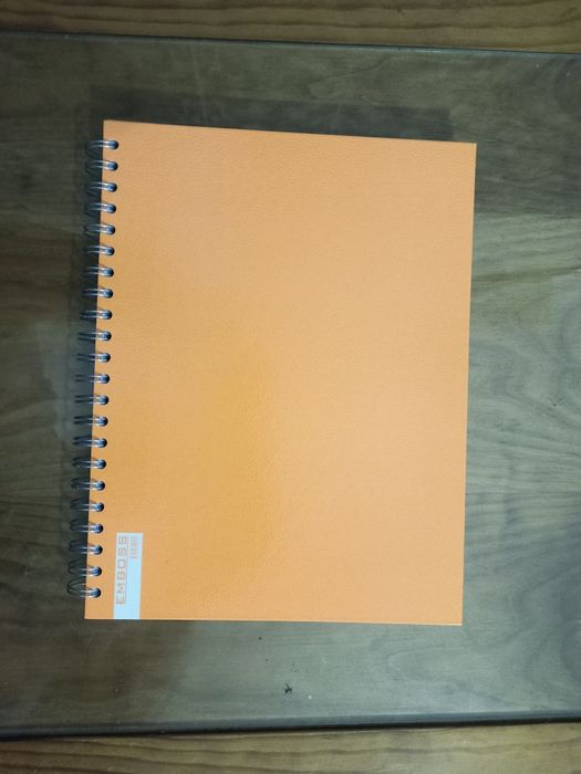 Cadernos (varias cores)