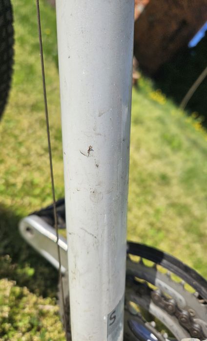 Giant rower damski S