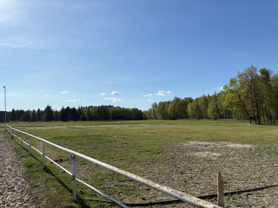 Wynajem boksów - Stajnia Eques