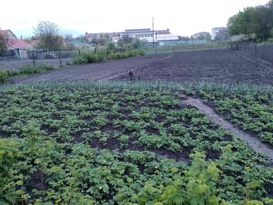 Продам будинок у м. Бобовиця