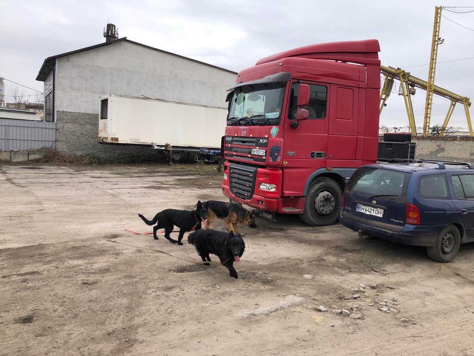 Даф XF 105 460 euro 5