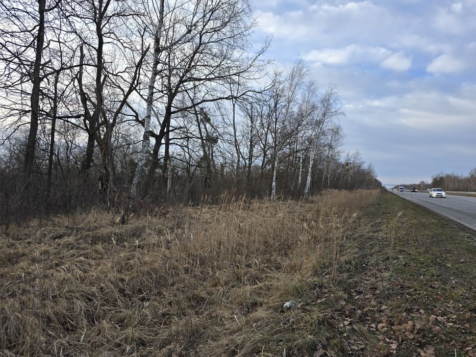 Продаж фасадної ділянки Київ-Чоп, 25км від Житомира(26147529)