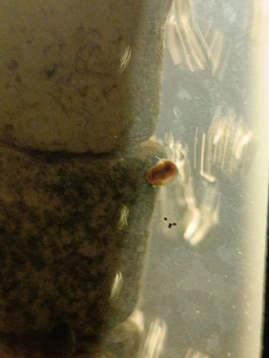 Sprzedam lub zamienię zatoczki