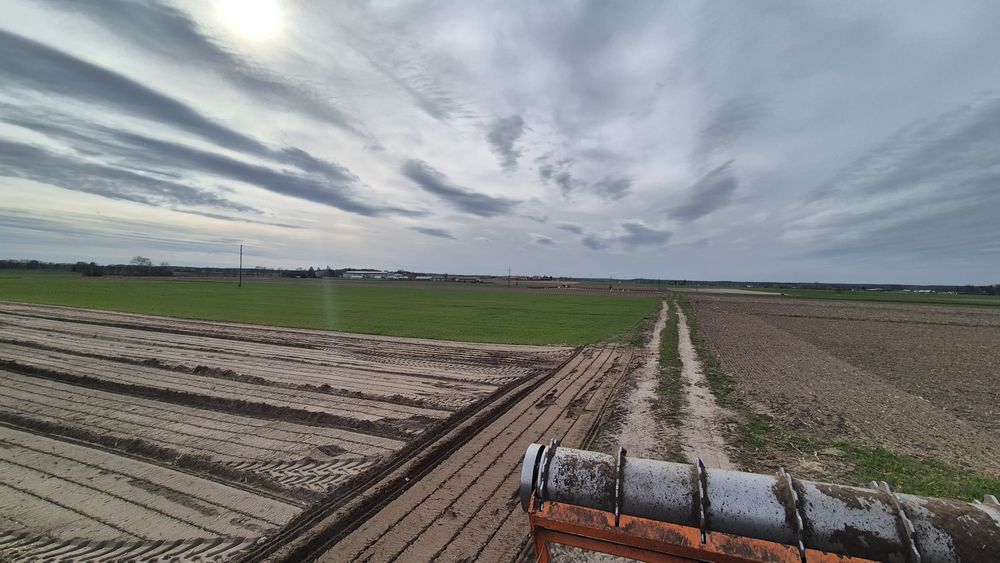 Mulczer Usługi mulczerem mulczowanie mulczer rekult. Skup lasów i drewna