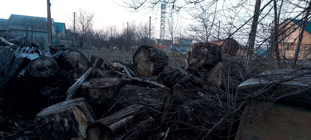 Дрова. Дрова фруктовые, шашлычные.Тополь, акація, абрикос
