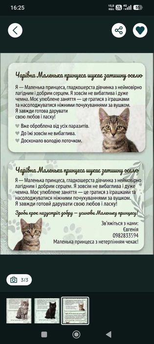 Безкоштовно в добрі руки