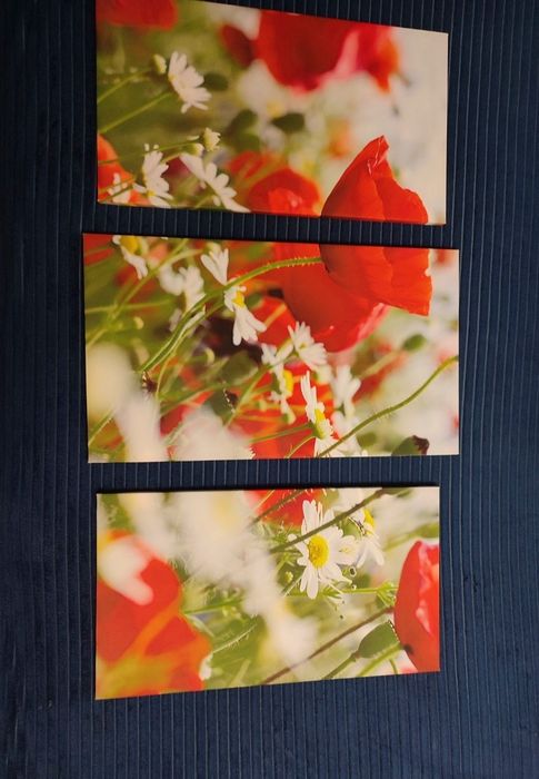 Модульная картина