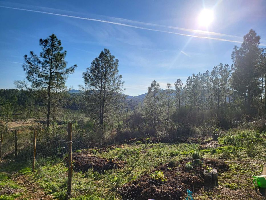 Refúgio Off-Grid 2.5ha com Ribeira e Autocaravana e solar