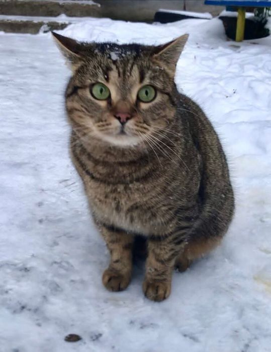 Лупатік дівчинка терміново
