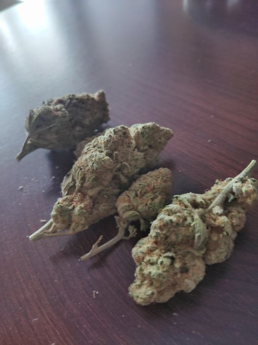 Royal Kush CBD 5g  Klasa Premium Legalny