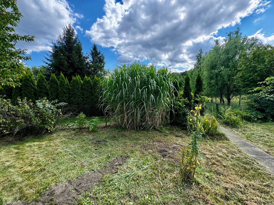 Sprzedam ogródek działkowy nr 352 w Ogrodzie Leliwa w Tarnowie - Widok 4