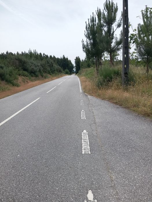 Vendo Ruina e terreno