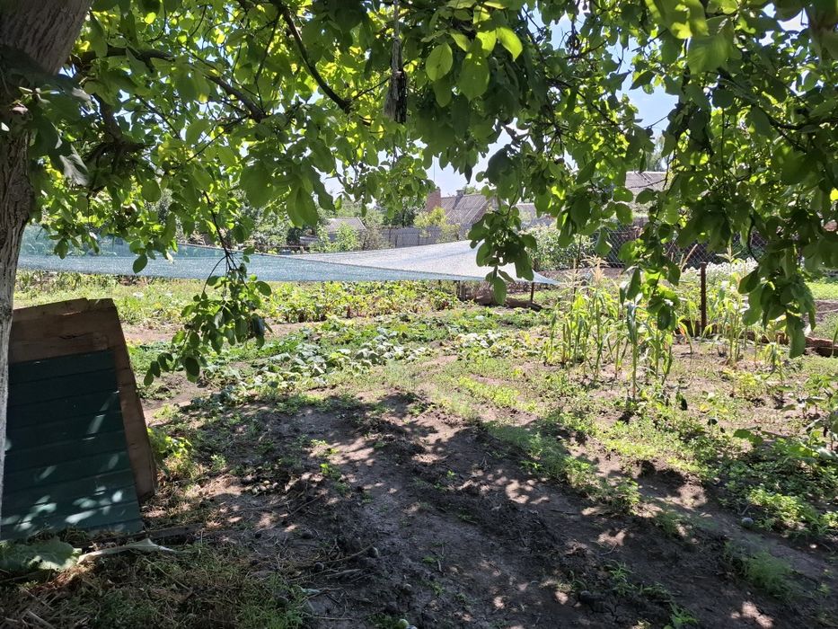 Продам  будинок  в Божедаровкі