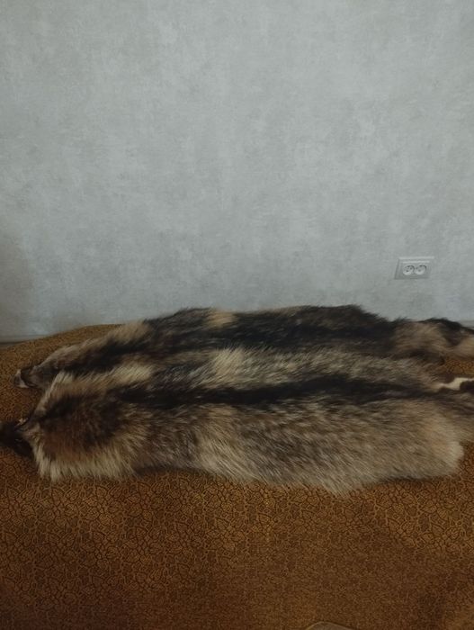 Шкіри пісця єнота та короля