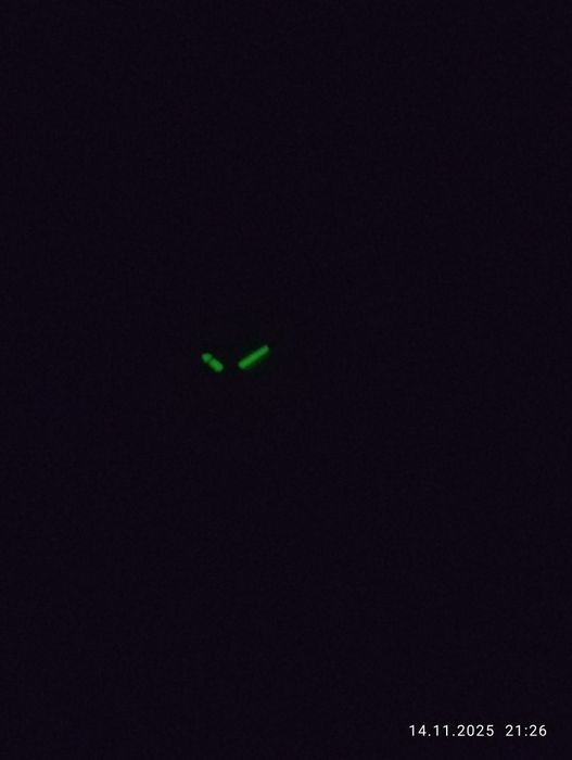 Zegarek Timex expedition