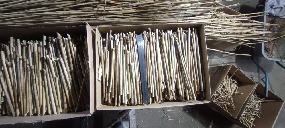 Trzcina pszczoła murarka domek dla pszczół owadów