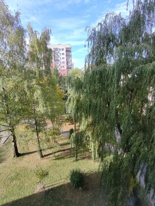 Osiedle Słoneczne wolne od zaraz