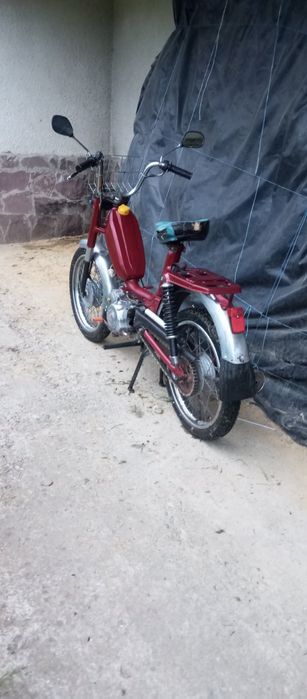 Малагутик Італія