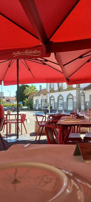 Procuro novo dono! Cedência de cotas