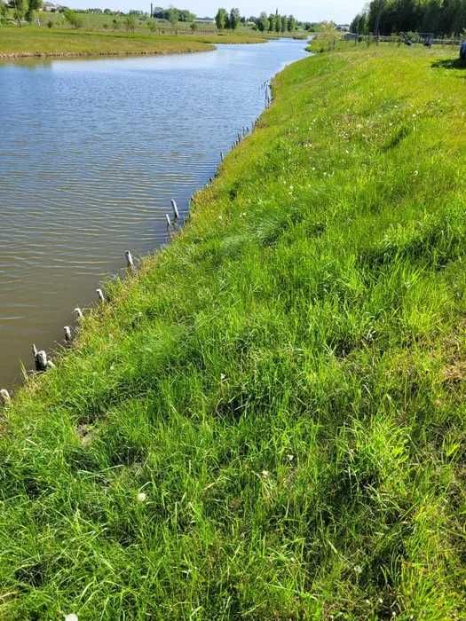 Działka rolna 295 m². - Widok 4