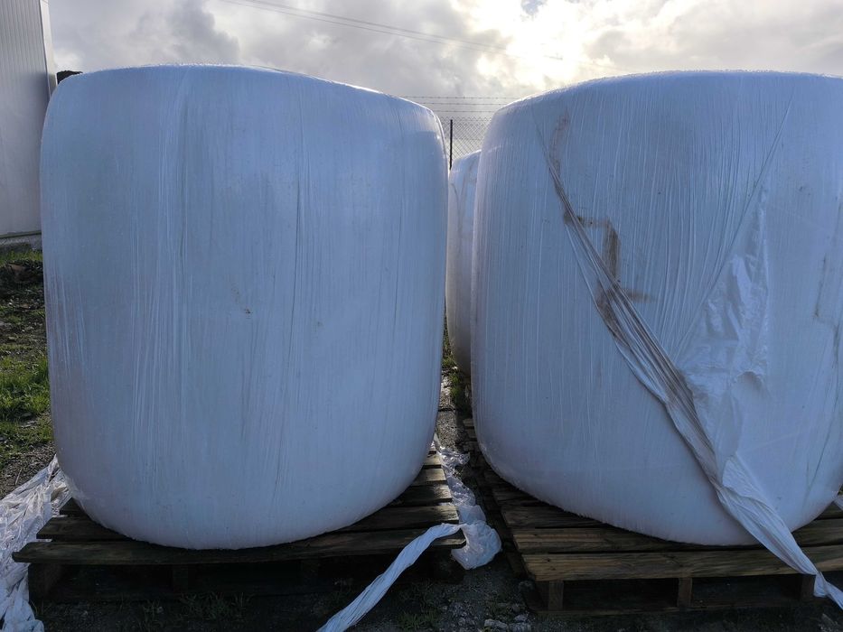 Bolas de Silagem de Milho