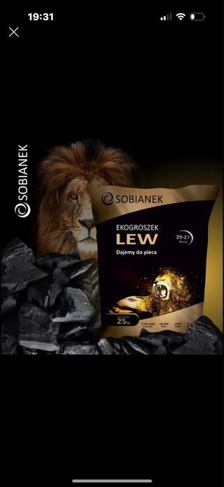 Ekogroszek Lew bezkonkurencyjno najlepszy