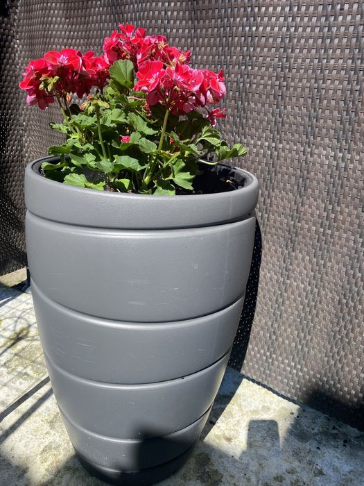 donica duża szara odporna