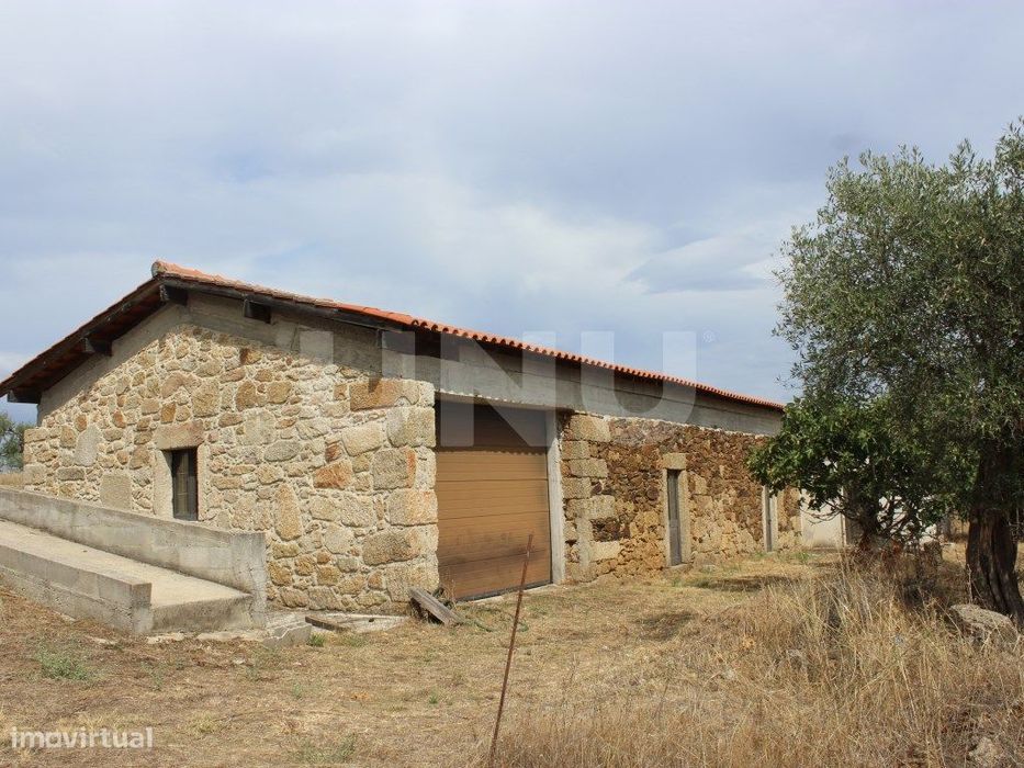 Quinta com 5000m2 para Venda na Mata.