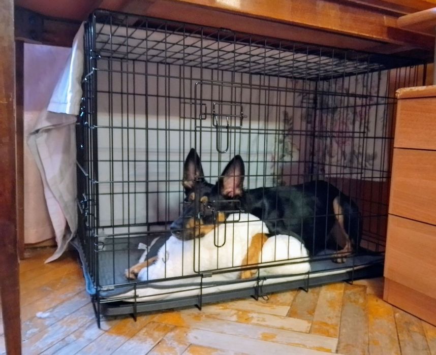 Клітка для ваших улюбленців