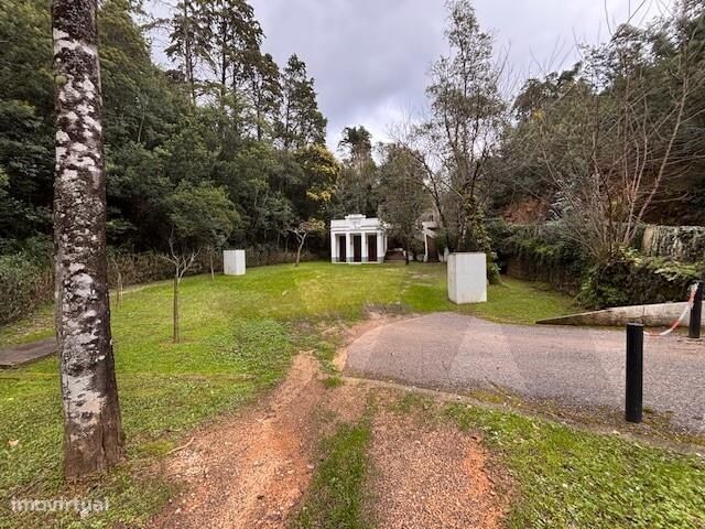 Terreno com 3.700 m2 nas termas de Vale da Mó