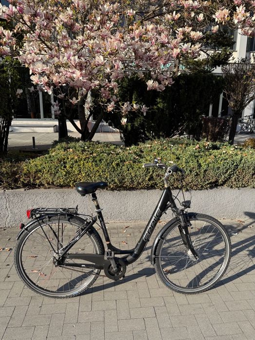 Epple - wygodny niemiecki rower z niską ramą, Nexus 8