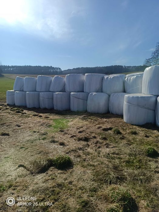 Bele gorzowska sianokiszonka  450 zł tona