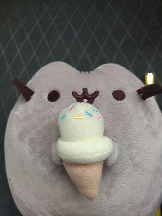 Pusheen z lodami #1