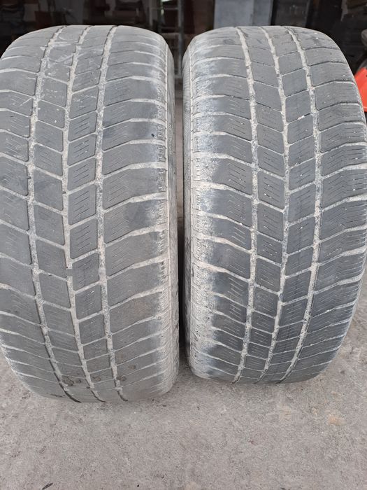 Barum Polaris  225 55 16