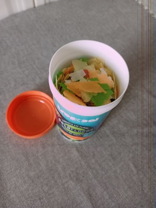 2 peixes Cometa + Acessórios