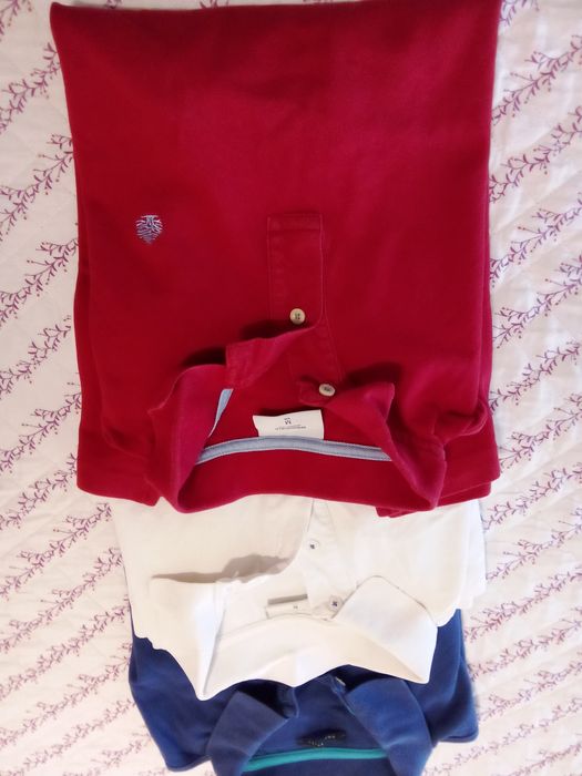 Polos  e plover de marca