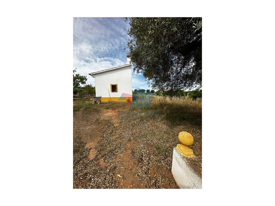 Monte para reabilitar