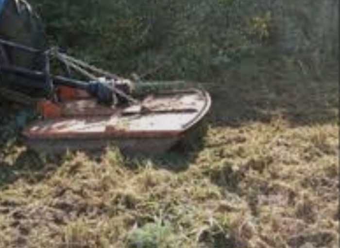 Limpeza de terrenos - Zona de Loures