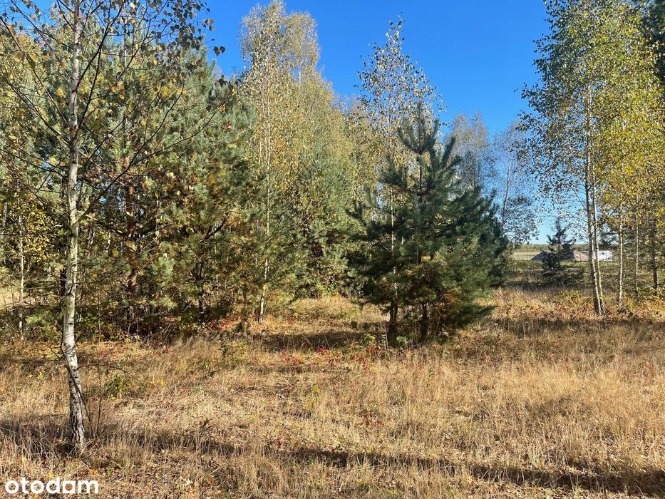 Budowlane- MPZP. Żabieniec blisko Garwolina i Pilawy.  1405 m² - 40x35 - Widok 6