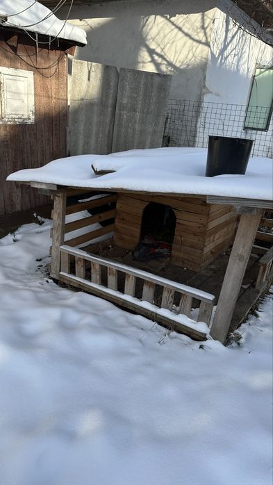 Буда для собаки утеплена