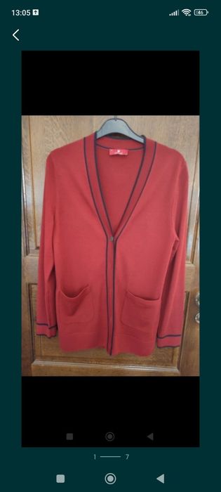 Cardigan Lion of Porches XS