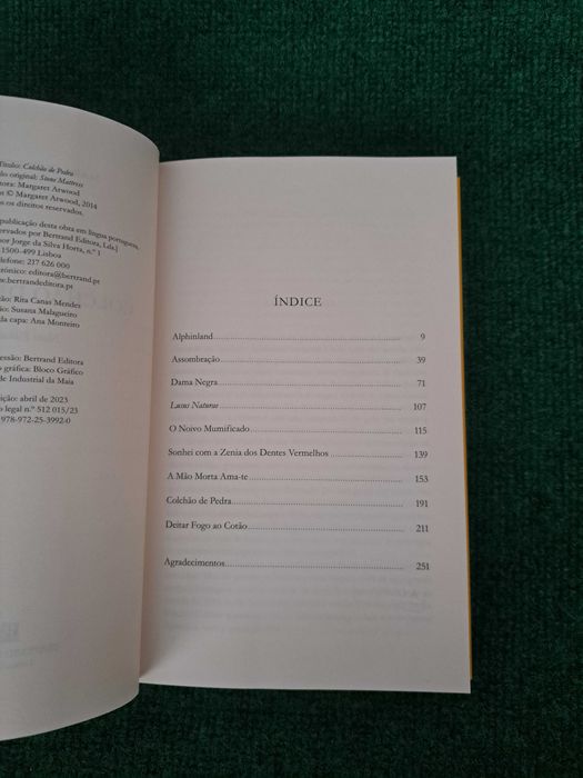Colchão de Pedra - Margaret Atwood
