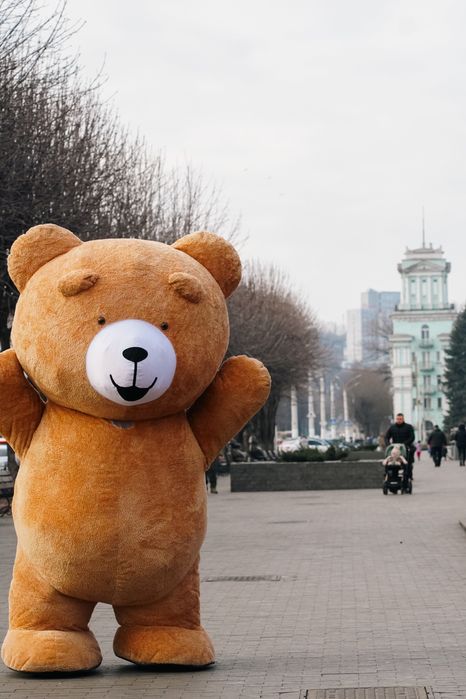 Поздравление Мишка Аниматор Каменское