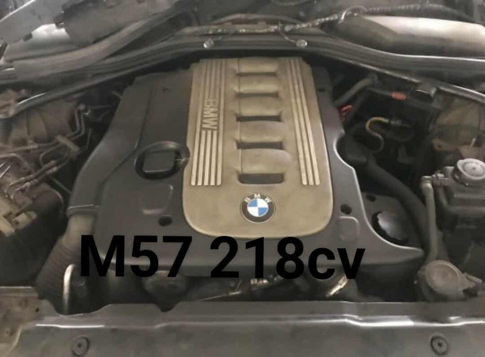 Motor BMW M57 218cv