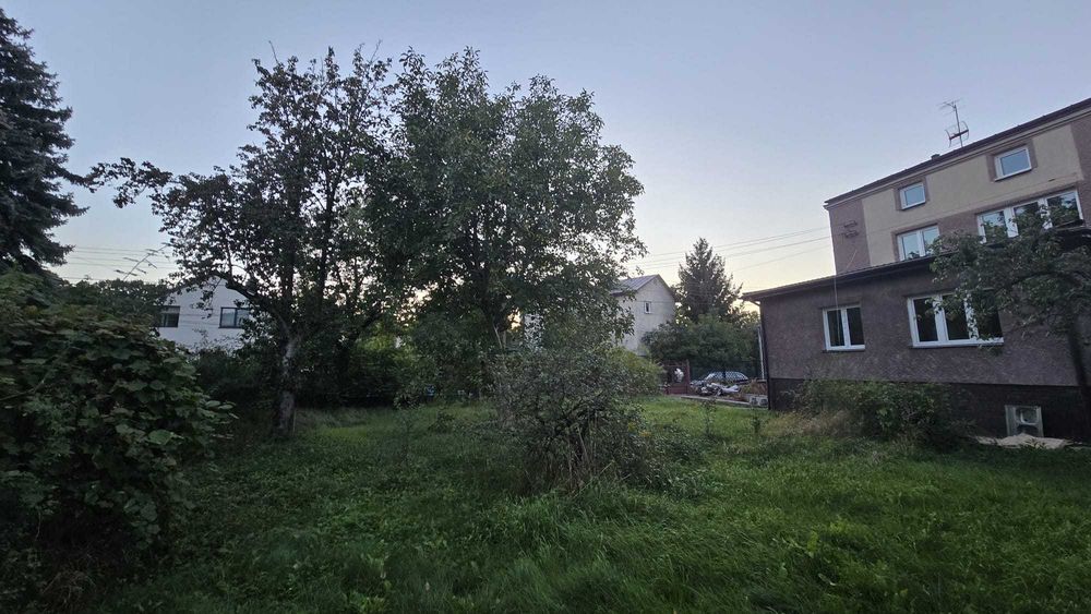 Zdjęcie 2