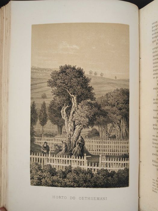 livro: Joaquim Pinto de Campos "Jerusalém"