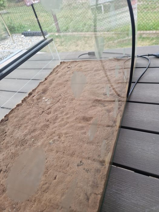 Terarium szklane