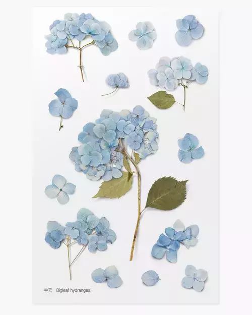 Naklejki ozdobne kwiaty Hortensja. Appree