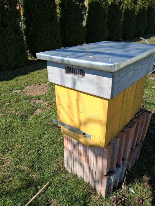 Sprzedam małą pasiekę bez pszczół